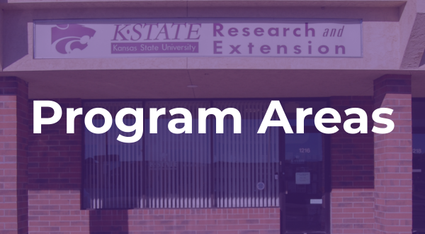 Program Areas Icon