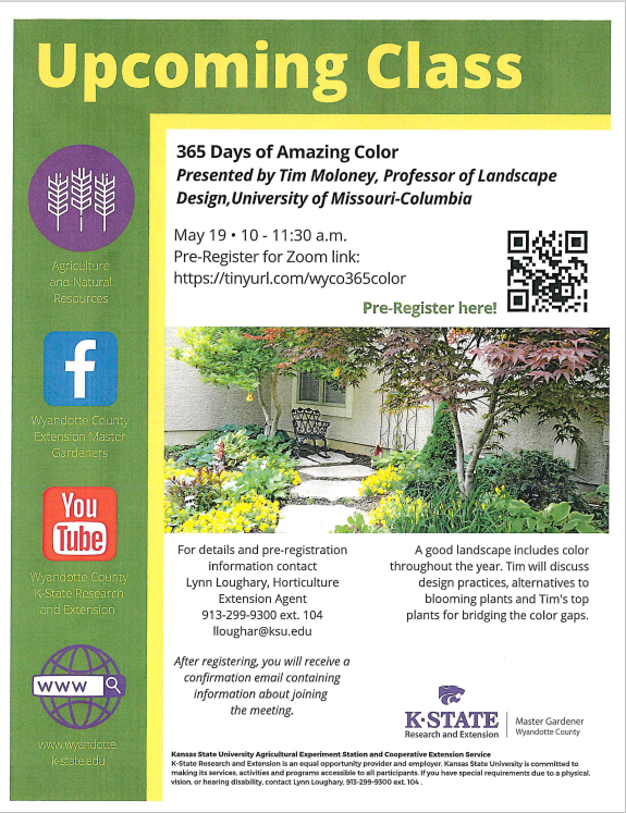 365 Days of Amazing Color