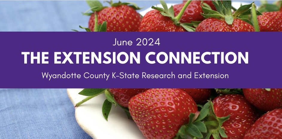 Extension Connection